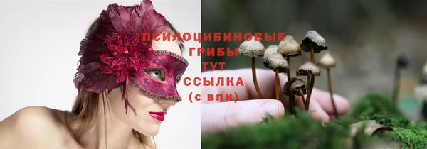 хмурый Армянск