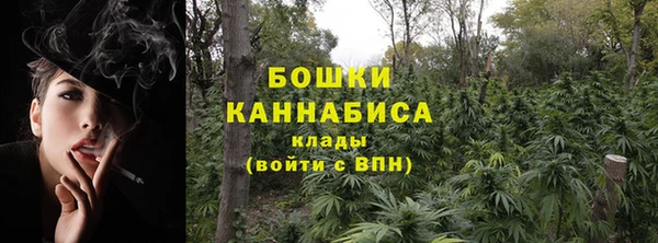 спиды Арсеньев