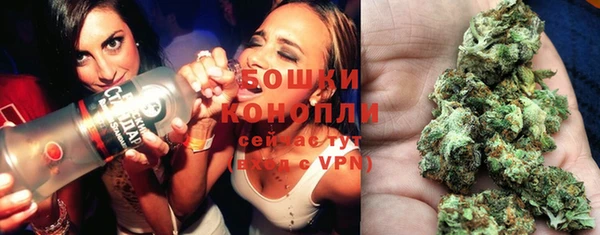 спиды Арсеньев