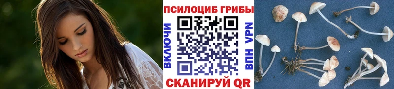 Галлюциногенные грибы мицелий  Среднеуральск 