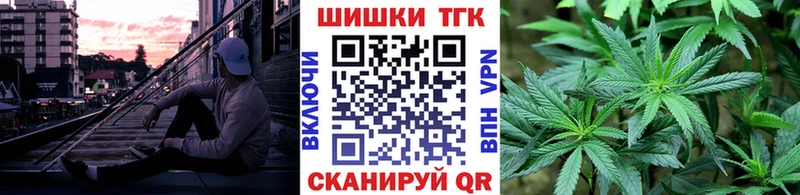 Бошки марихуана гибрид как найти закладки Среднеуральск